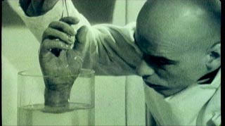    ( Le Bunker de la derniere refale ) - image no.48